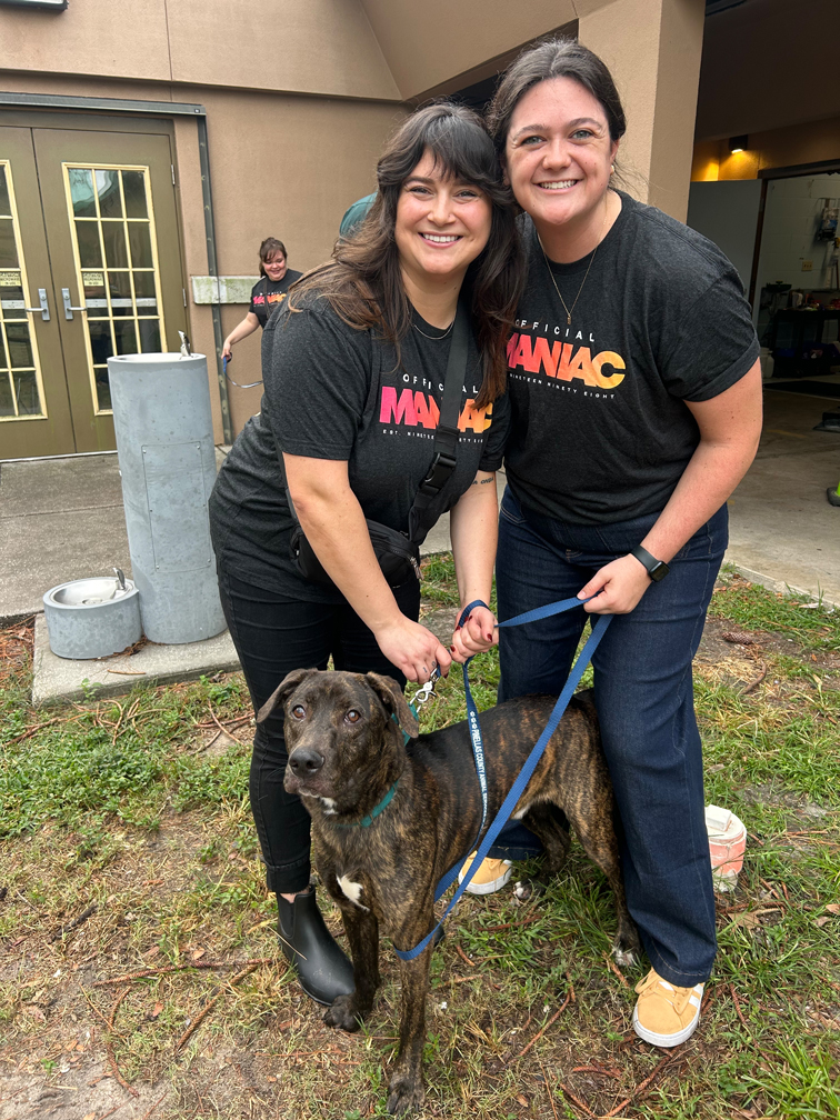 maniacs give back pinellas county animal services