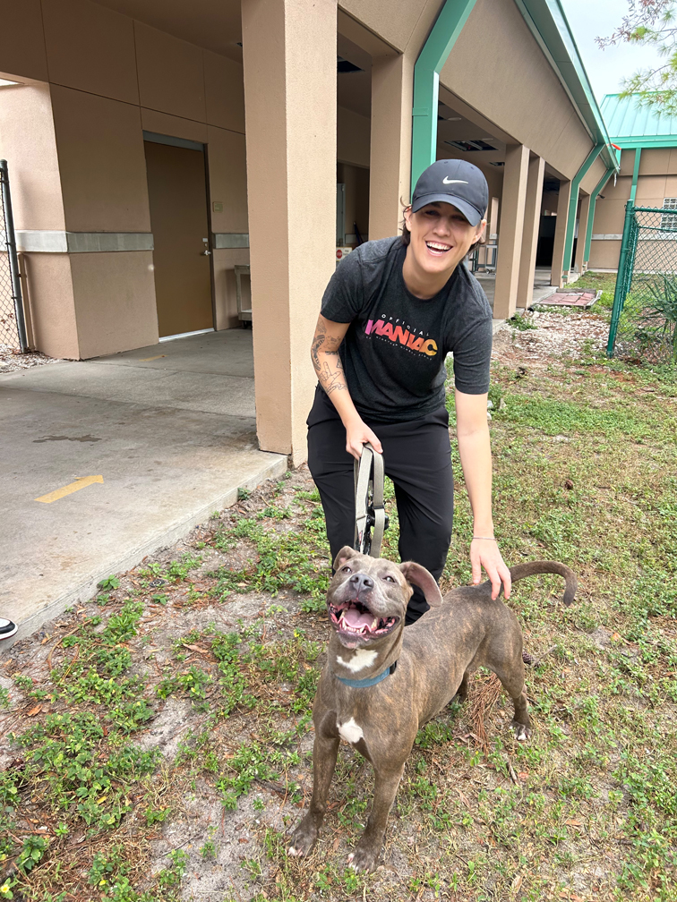 maniacs give back pinellas county animal services