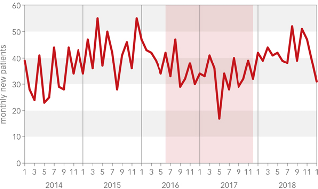 Graph of Dr. Wolfe's monthly new patients