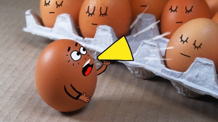 shouting egg trying to wake up sleeping eggs