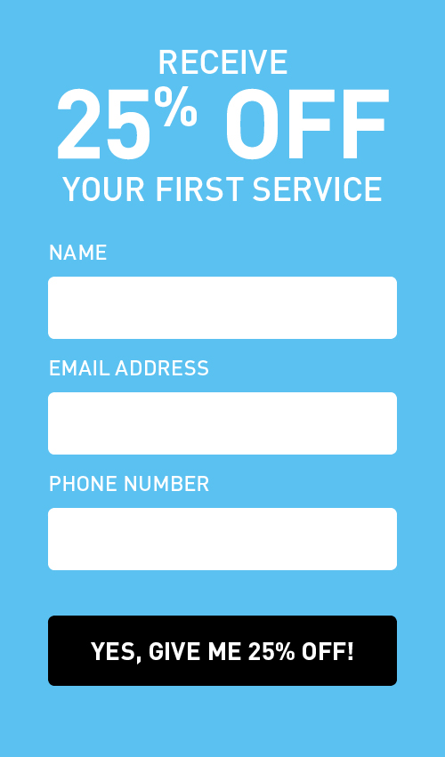 carpet cleaning lead capture form offering 25% off