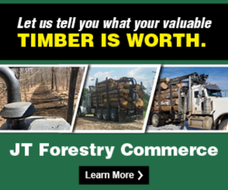 example of google ad