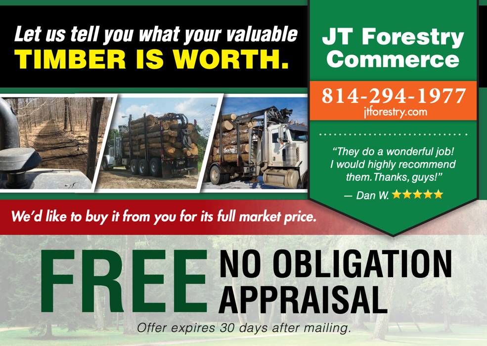 example of marketing postcard