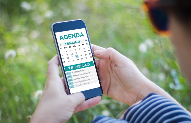 person checking agenda on smart phone