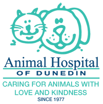 veterinary marketing company