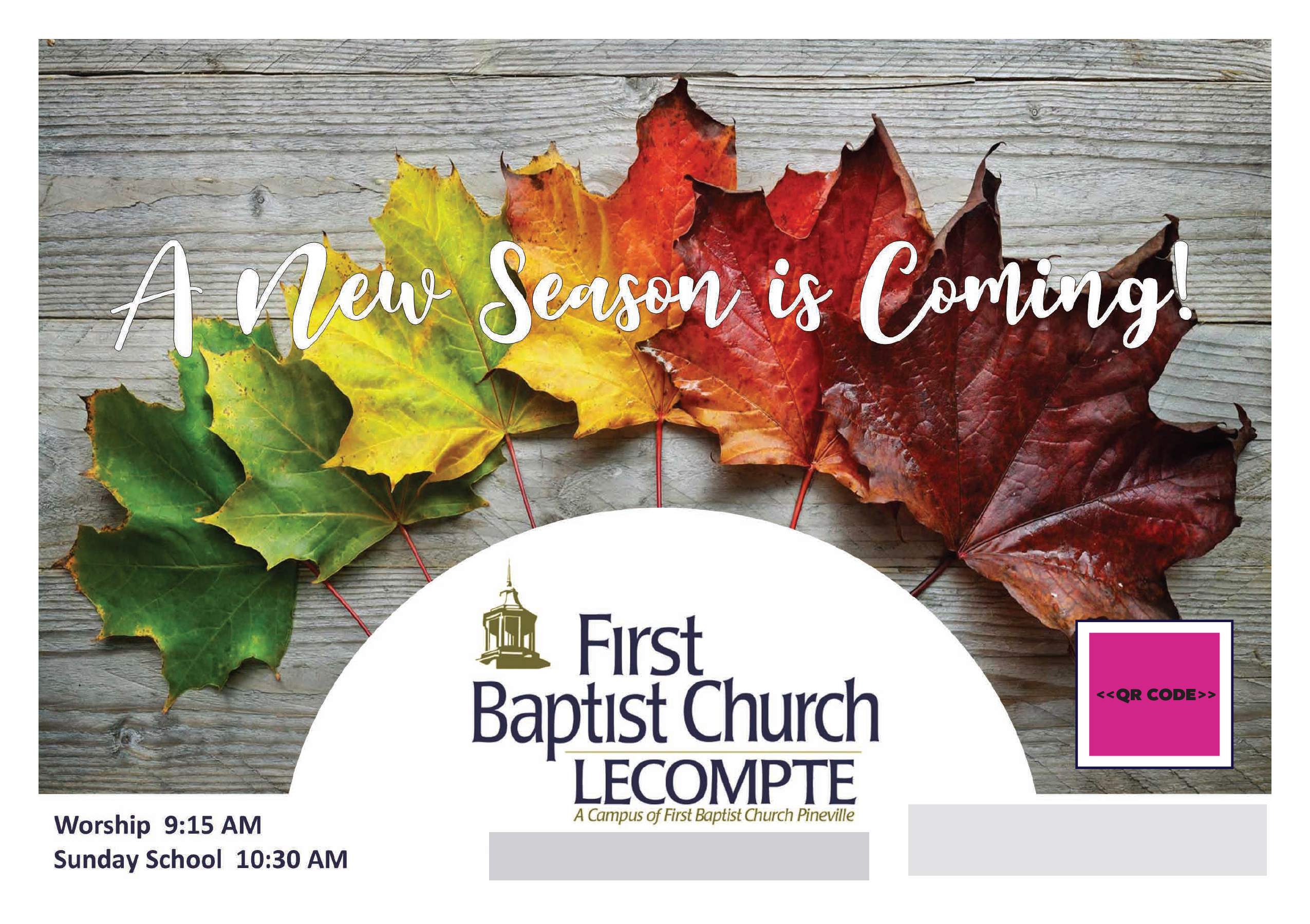 Successful Other Postcard Campaign