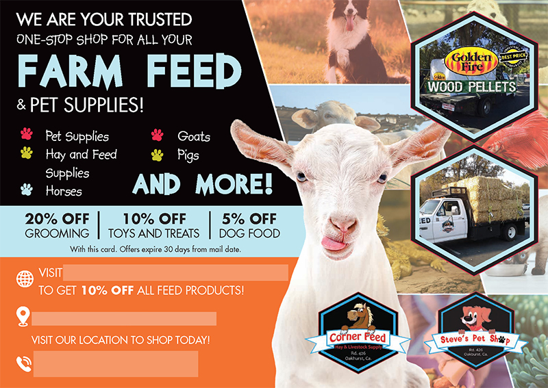 Successful Animal Services Postcard Campaign