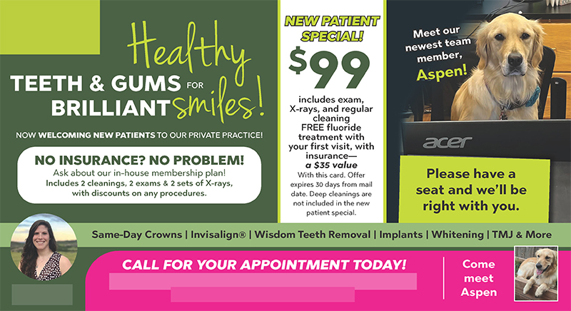 Successful Dental Services Postcard Campaign