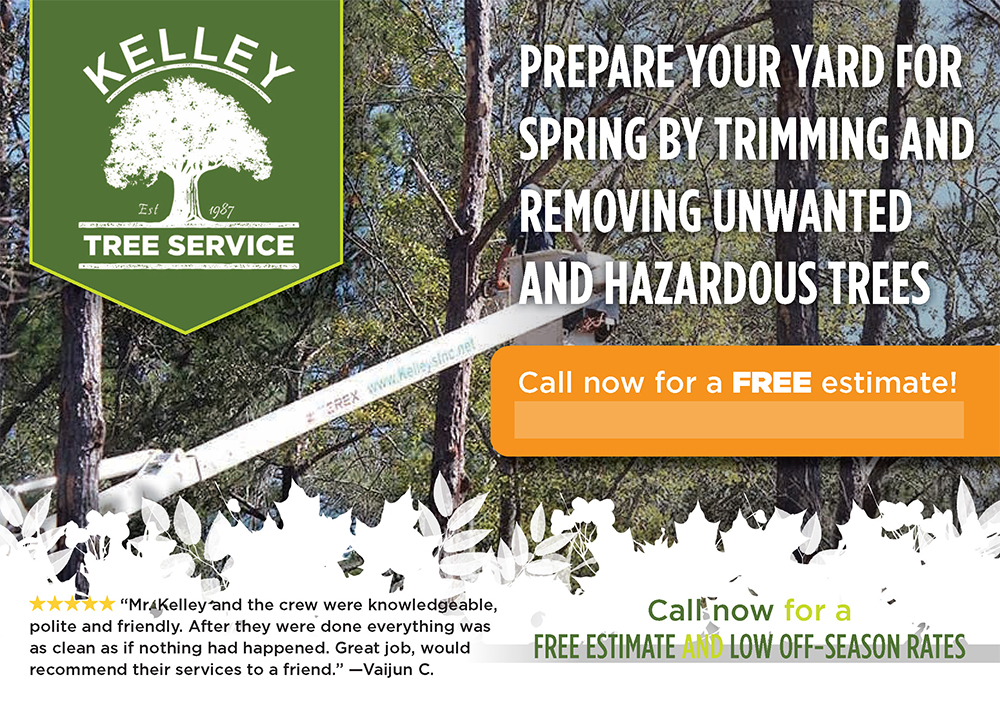 Successful Landscaping Postcard Campaign