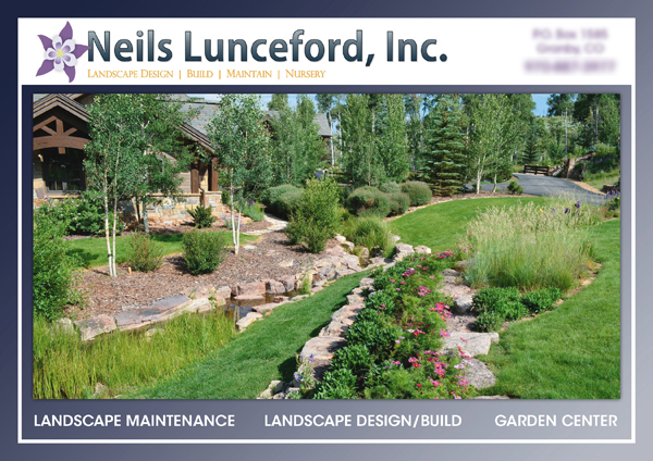 Successful Landscaping Postcard Campaign