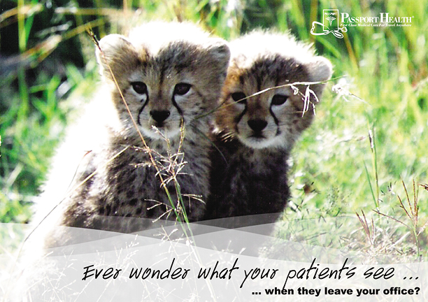 Successful Medical Services Postcard Campaign