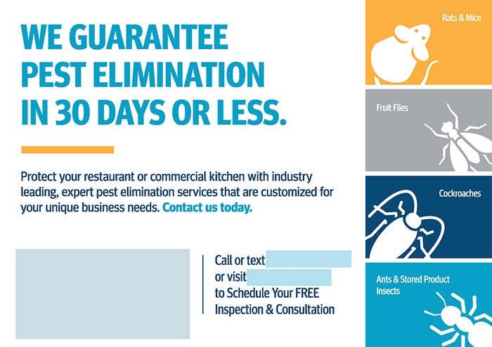 Successful Pest Control Postcard Campaign