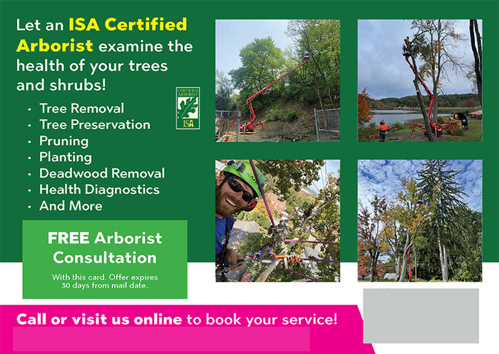 Successful Landscaping Postcard Campaign