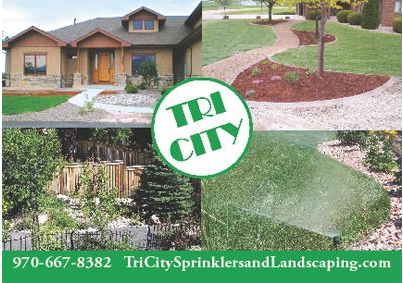 Successful Landscaping Postcard Campaign