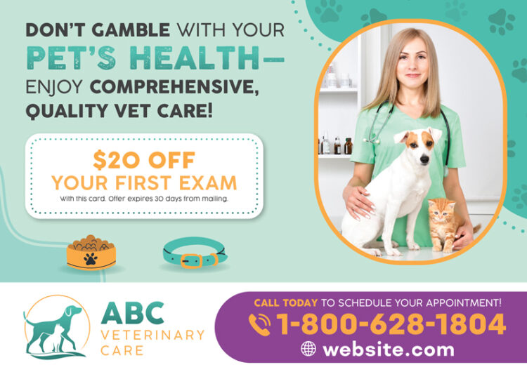 vet postcard marketing design