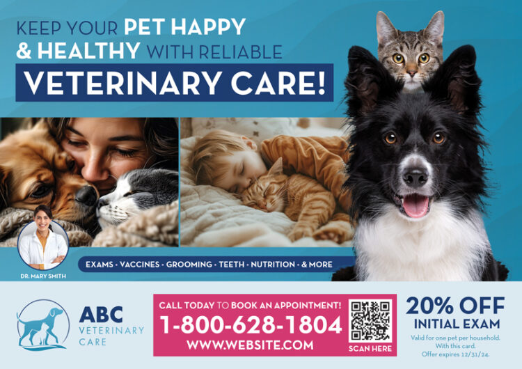 new in town vet postcard