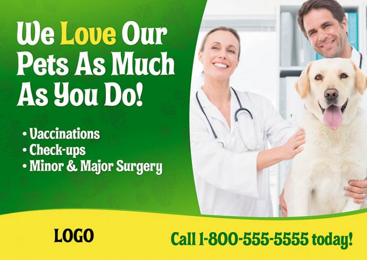 veterinarian postcard