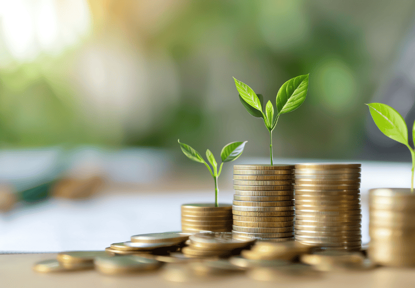 birthday mailer targeting for income range