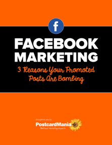 Using Promoted Posts on Facebook to Generate Revenue for Small Businesses